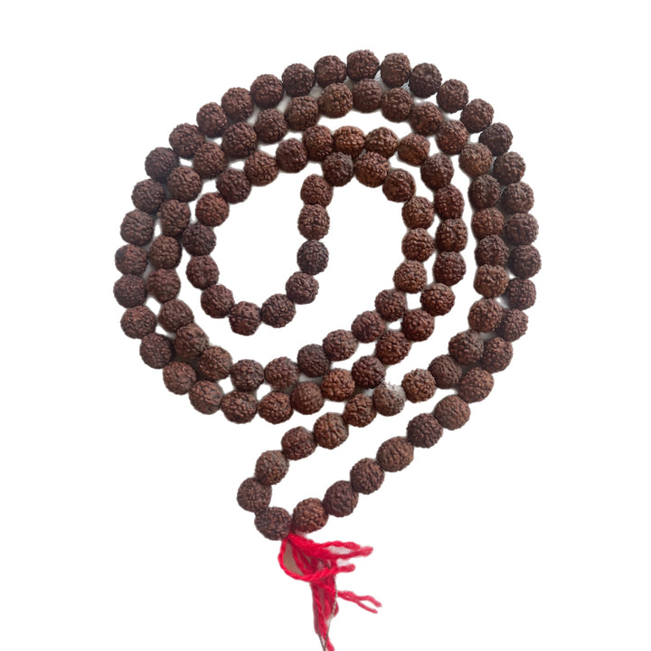 Mala Rudraksha